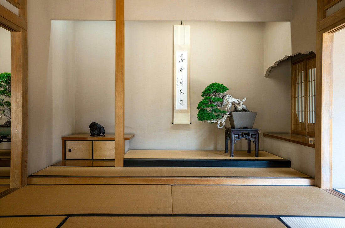 Harmonize Your Space: The Beauty of Feng Shui