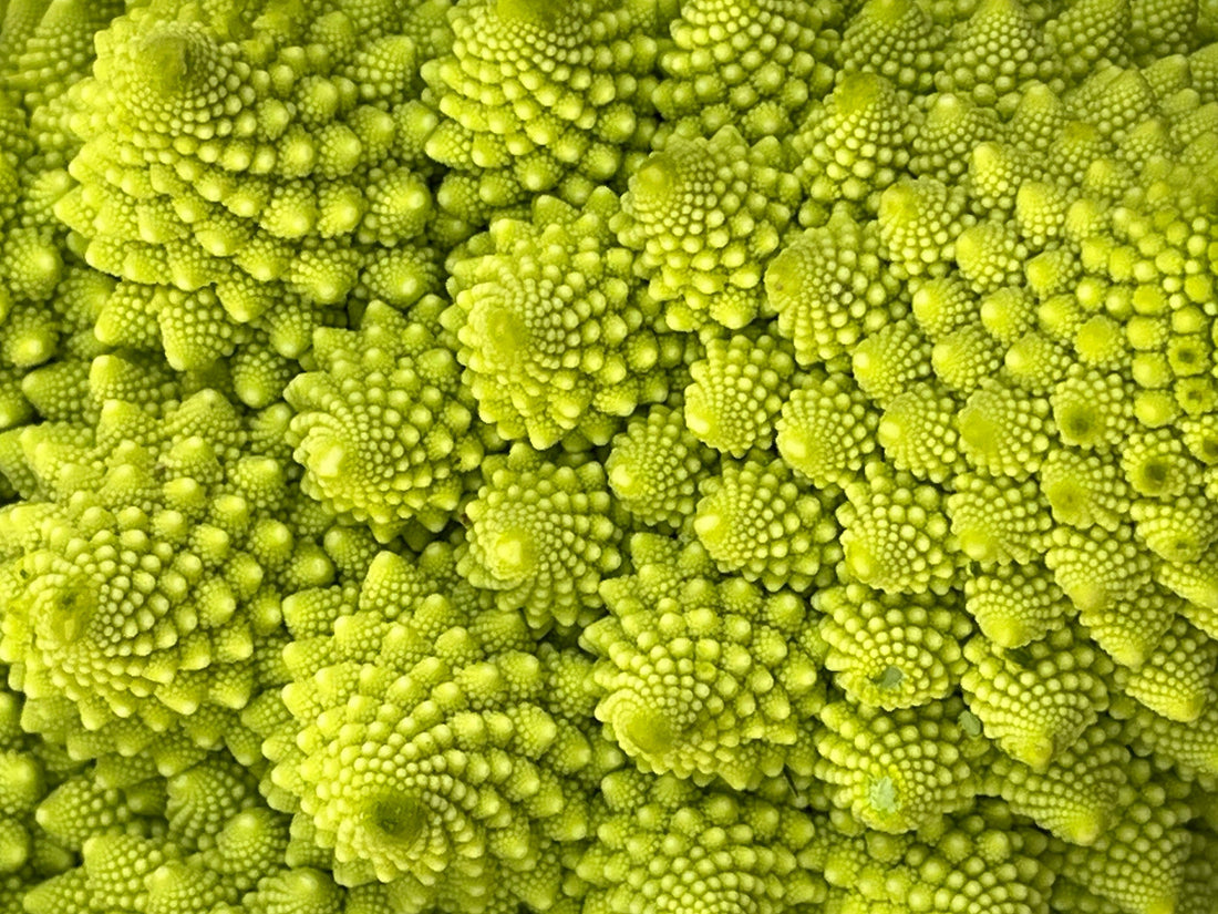 Beauty: What is it?