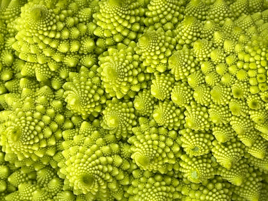 Beauty: What is it?